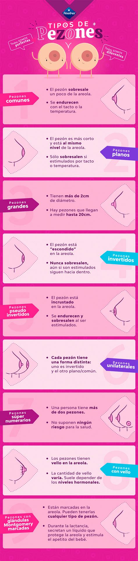 tetas gordas naturales|9 TIPOS de PEZONES y sus características .